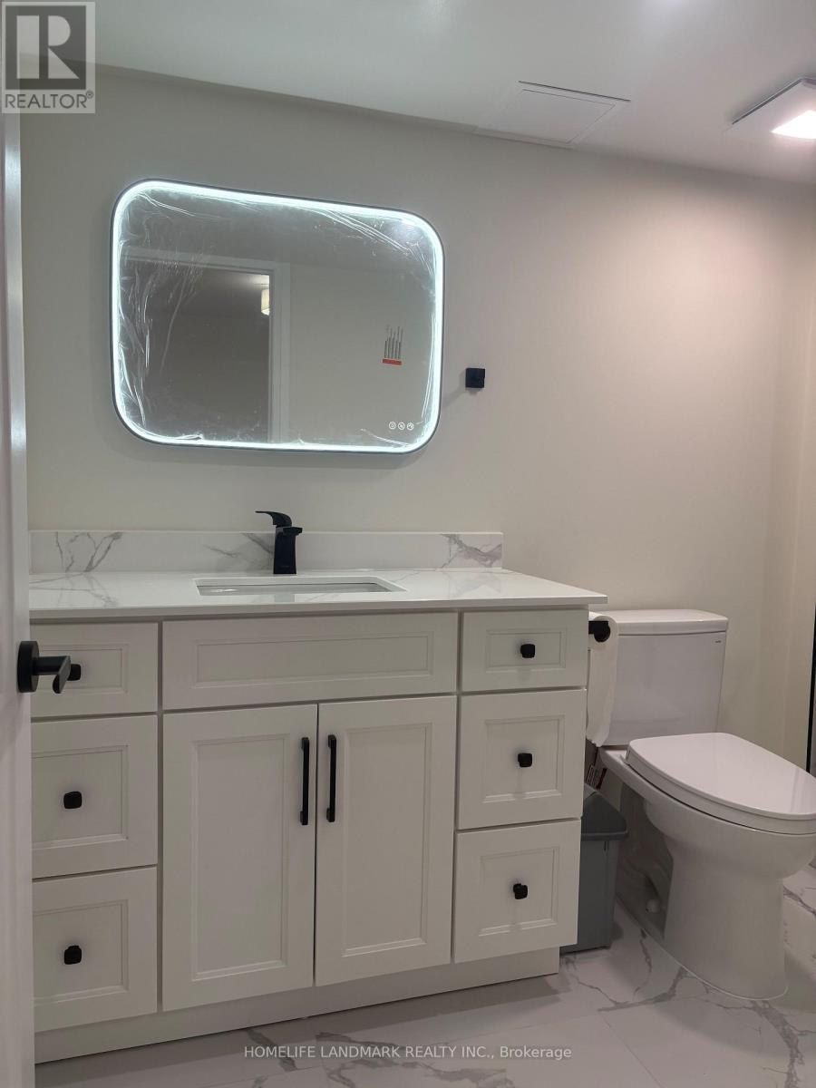 Basement - 64 Charlotte Abby Drive, East Gwillimbury, Ontario  L9N 0S9 - Photo 19 - N12936520