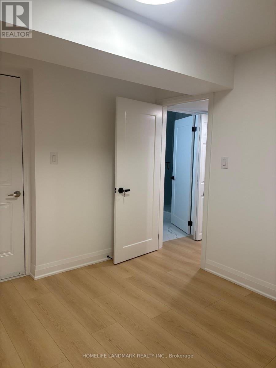 Basement - 64 Charlotte Abby Drive, East Gwillimbury, Ontario  L9N 0S9 - Photo 27 - N12936520