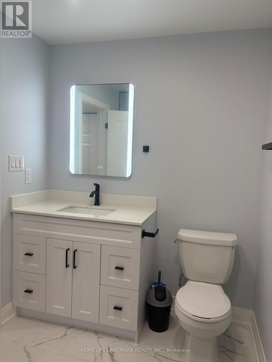 Basement - 64 Charlotte Abby Drive, East Gwillimbury, Ontario  L9N 0S9 - Photo 28 - N12936520