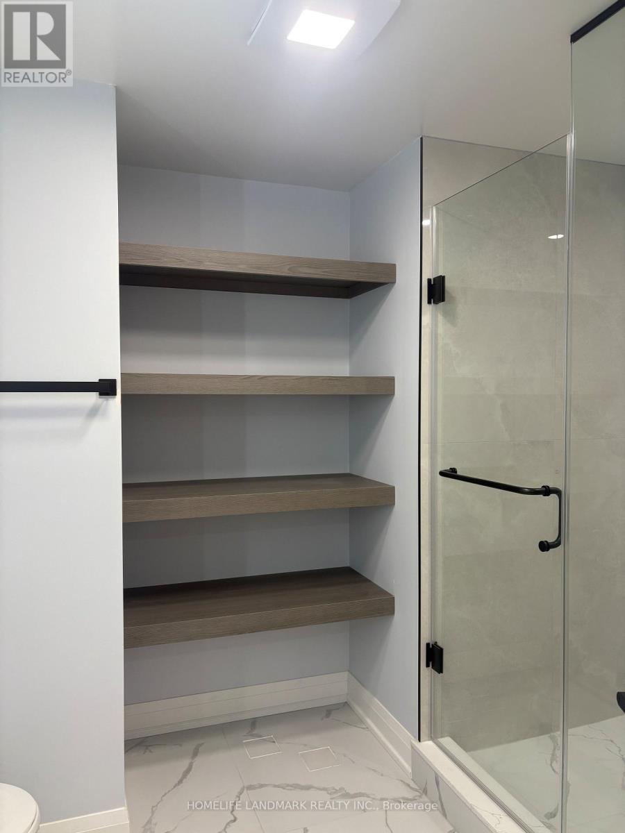 Basement - 64 Charlotte Abby Drive, East Gwillimbury, Ontario  L9N 0S9 - Photo 29 - N12936520