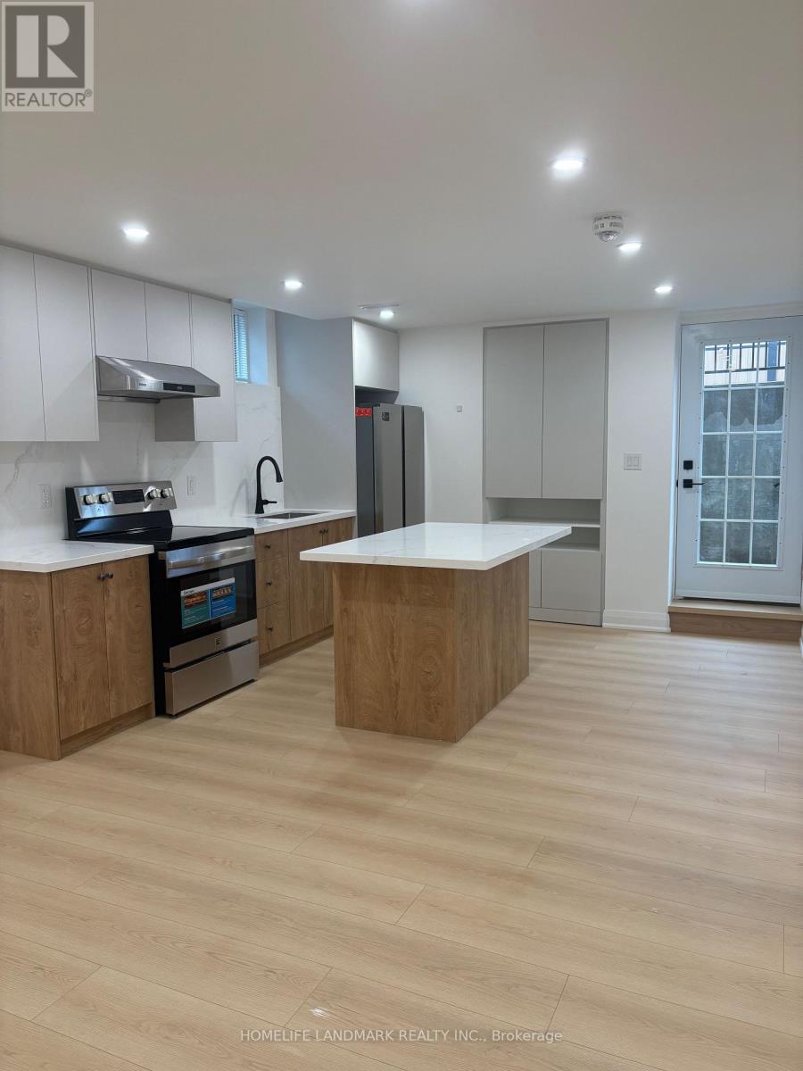 Basement - 64 Charlotte Abby Drive, East Gwillimbury, Ontario  L9N 0S9 - Photo 8 - N12936520