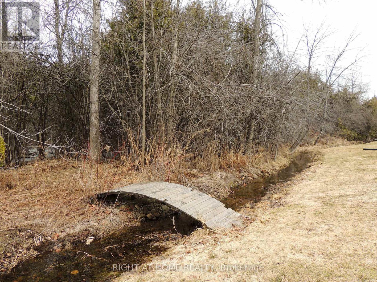 424 Bridle Road, Kawartha Lakes, Ontario  K9V 4R2 - Photo 33 - X12936644