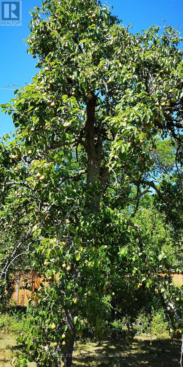 33 Strathcona Drive, St. Catharines, Ontario  L2M 2A8 - Photo 41 - X12853562