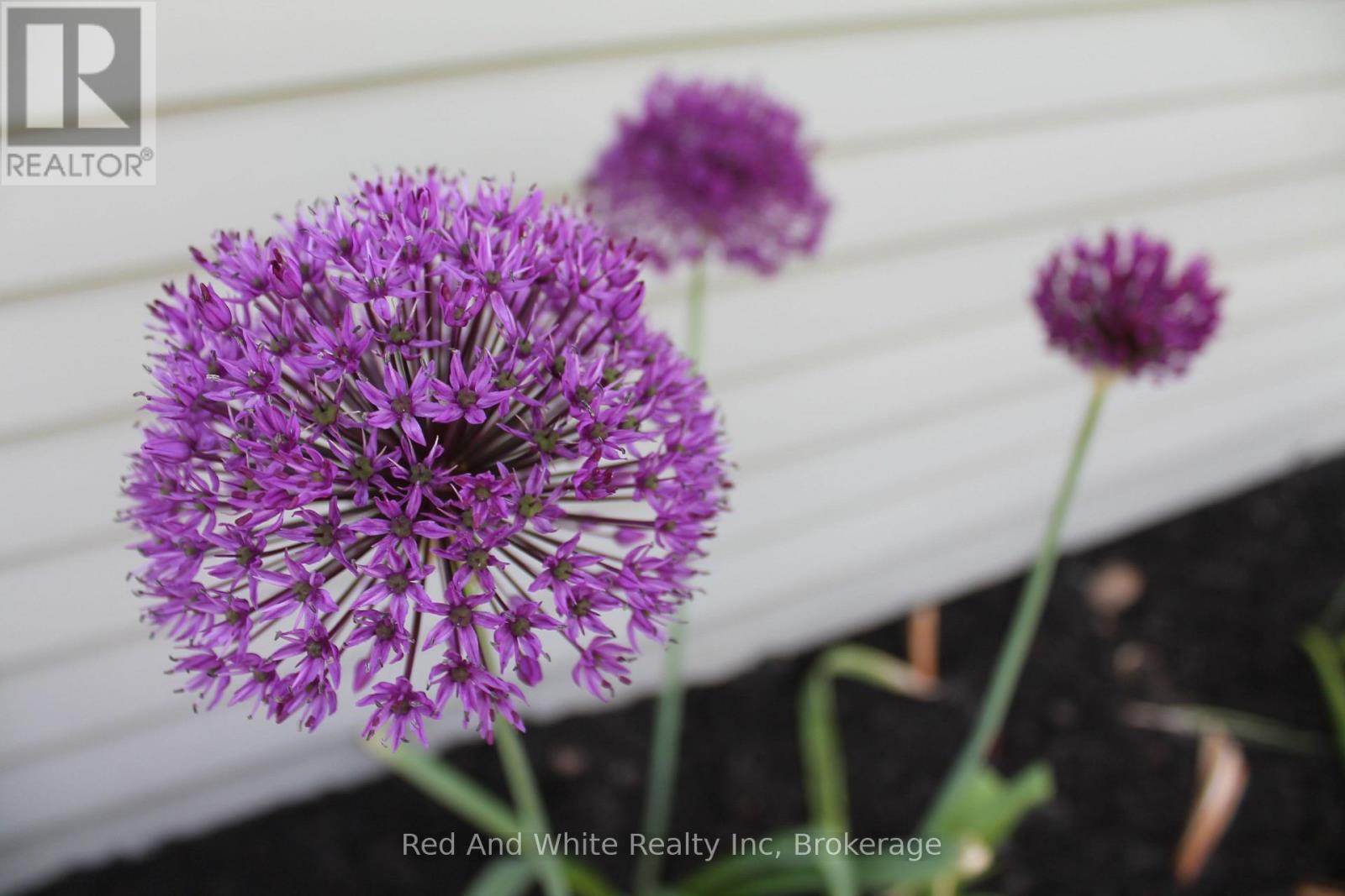 449 Greenfield Avenue, Kitchener, Ontario  N2C 1E9 - Photo 40 - X12931716