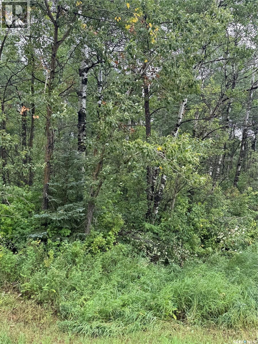 Kerlak Cabin Retreat Acres, Hudson Bay Rm No. 394, Saskatchewan  S0E 0Y0 - Photo 2 - SK015181