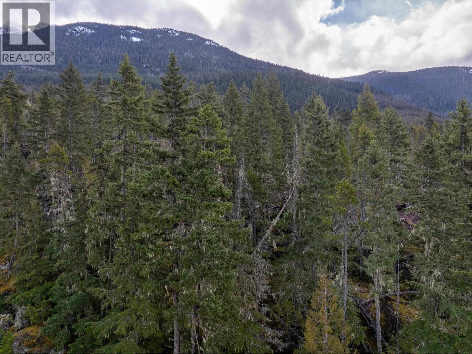 9285 Siskin Street, Whistler, British Columbia  V8E 1M1 - Photo 16 - R3104169