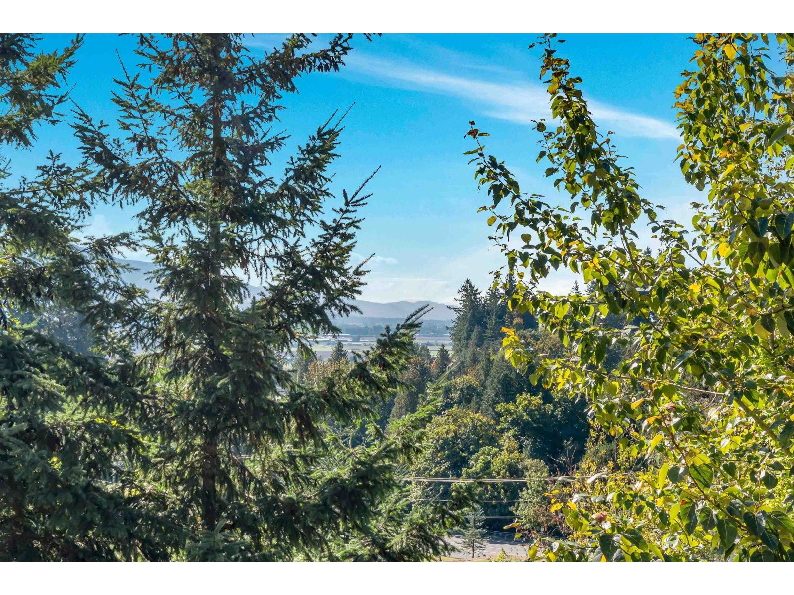 38 35287 Old Yale Road, Abbotsford, British Columbia  V3G 8H5 - Photo 19 - R3104363