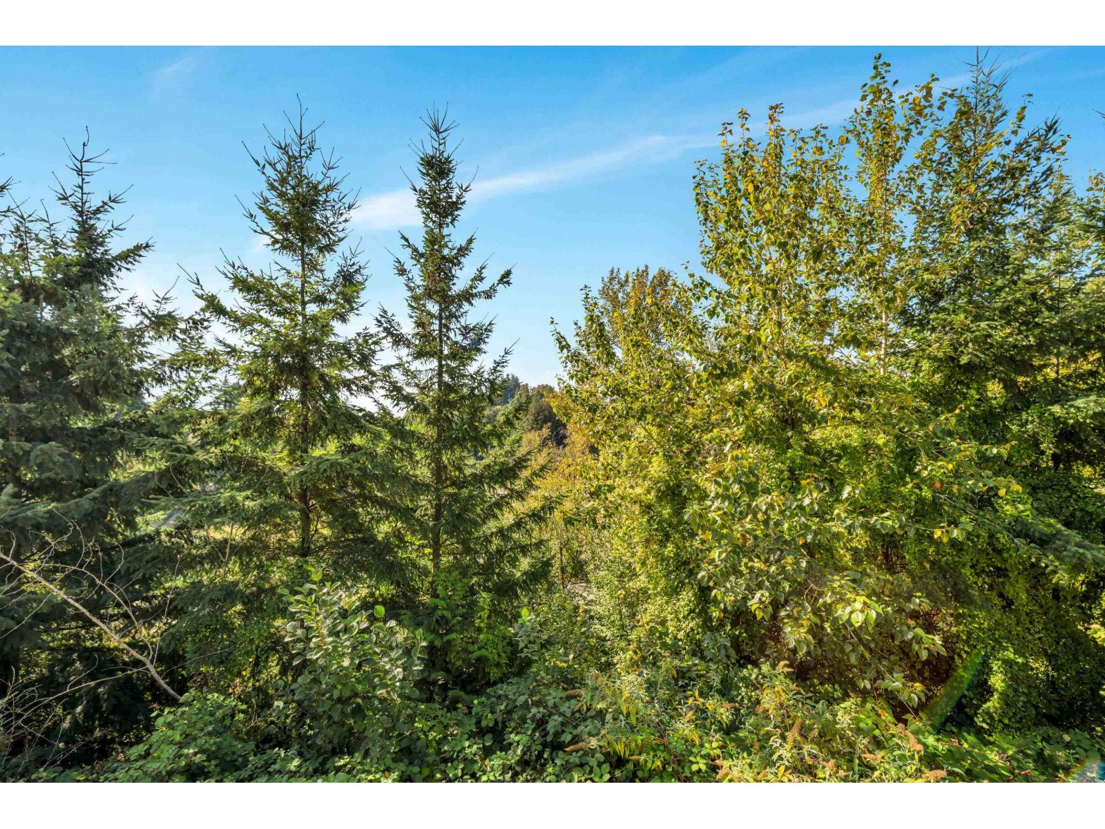 38 35287 Old Yale Road, Abbotsford, British Columbia  V3G 8H5 - Photo 18 - R3104363