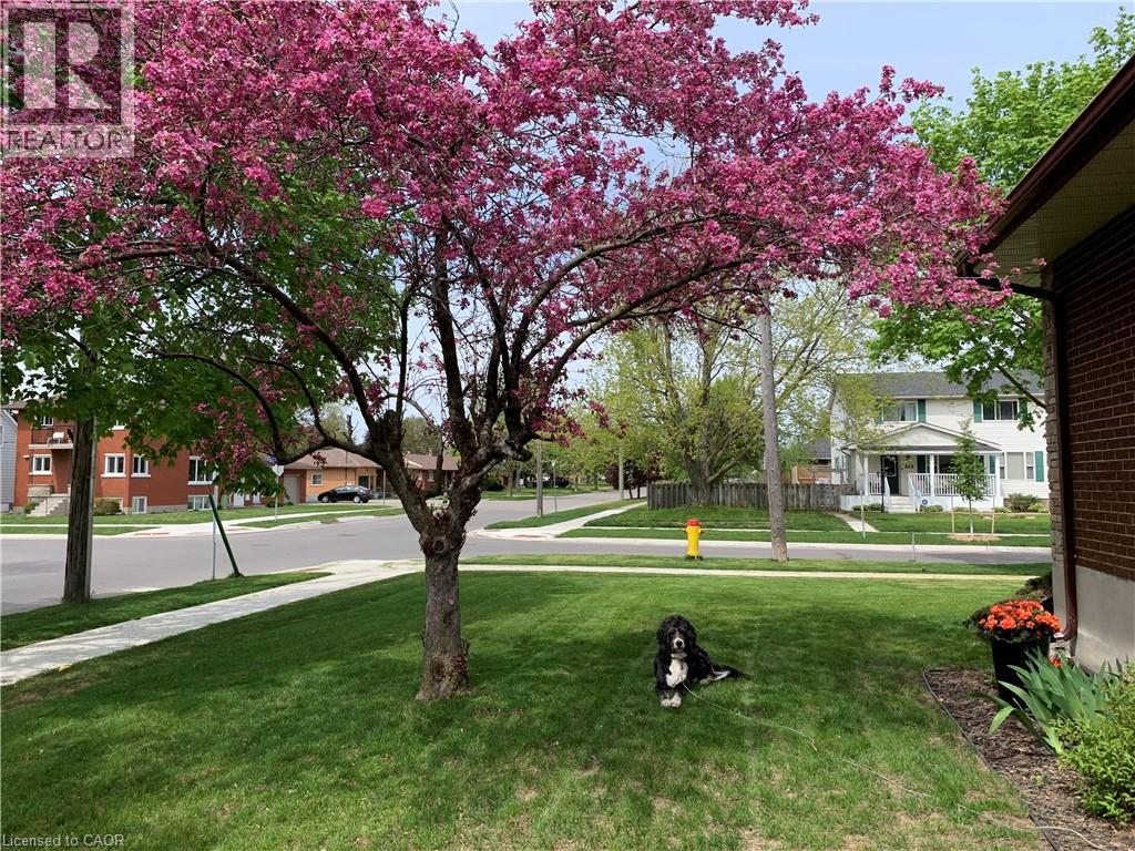 449 Greenfield Avenue, Kitchener, Ontario  N2C 1E9 - Photo 44 - 40814806