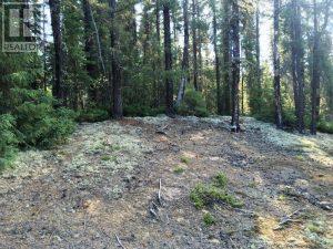 Pcl 22289 N/a, Timmins, Ontario  P4N 7C2 - Photo 10 - T12936808