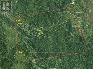 Pcl 22289 N/a, Timmins, Ontario  P4N 7C2 - Photo 2 - T12936808