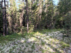 Pcl 22289 N/a, Timmins, Ontario  P4N 7C2 - Photo 8 - T12936812