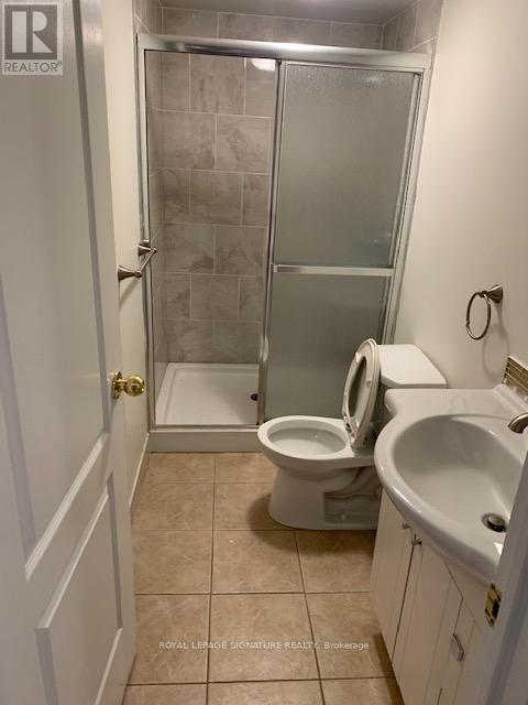 Lower - 248 Breton Avenue, Mississauga, Ontario  L4Z 4K3 - Photo 7 - W12936866