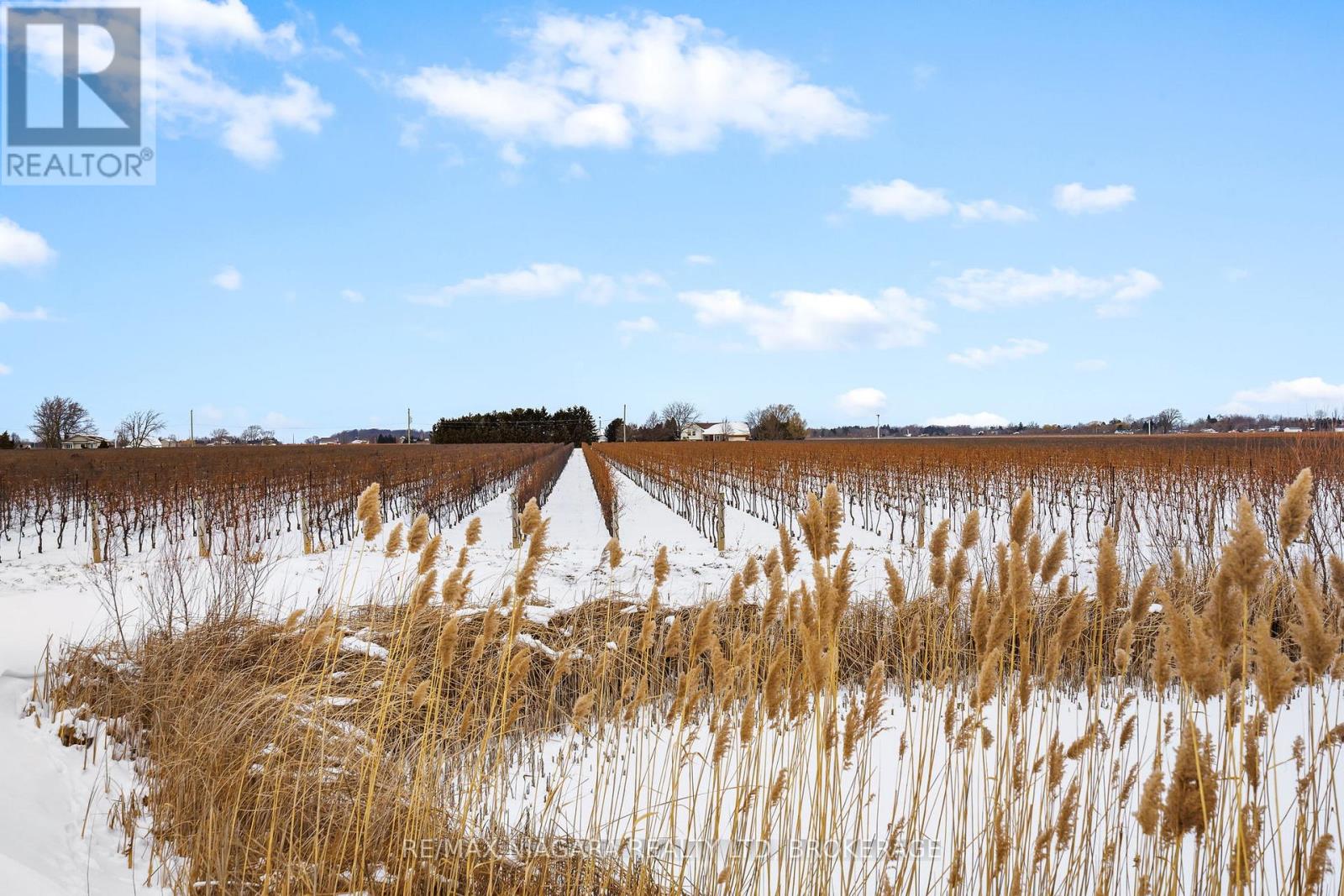 1074 Niagara Stone Road, Niagara-On-The-Lake, Ontario  L0S 1J0 - Photo 18 - X12917144