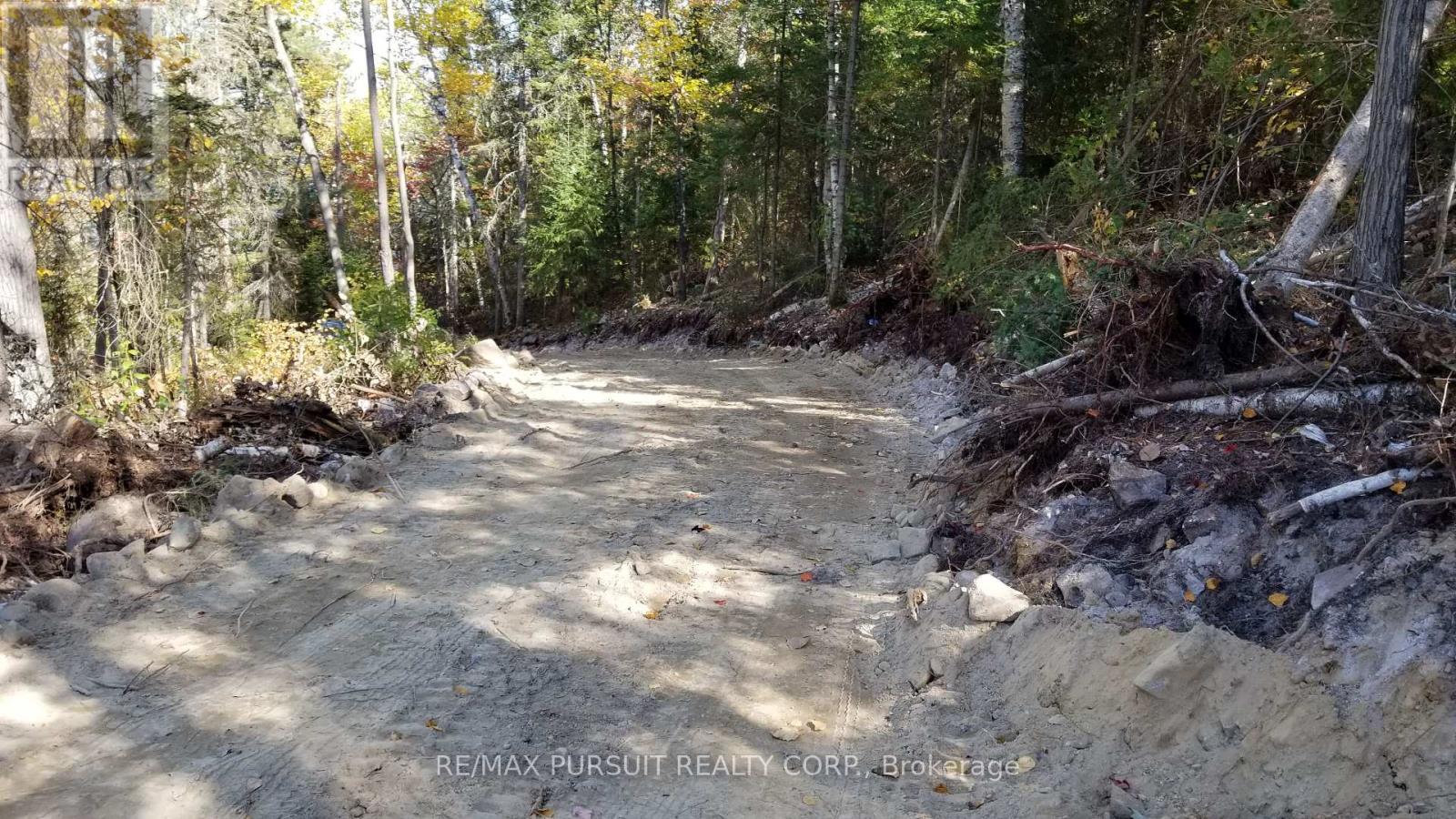 54-C-247082 Part Of Pin 61390-0273, Timiskaming, Ontario  P0J 1R0 - Photo 4 - T12936568