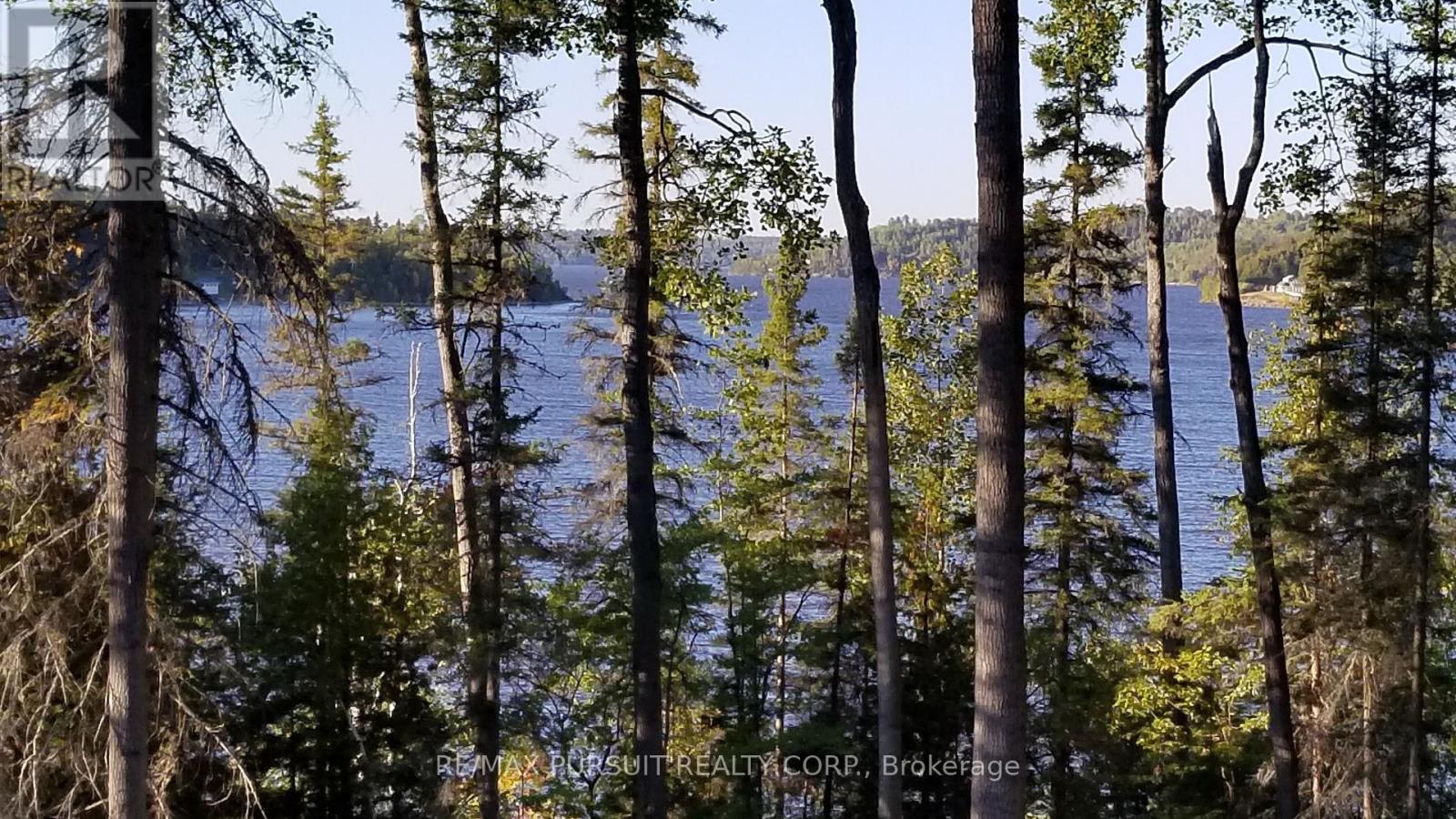 54-C-247082 Part Of Pin 61390-0273, Timiskaming, Ontario  P0J 1R0 - Photo 2 - T12936568