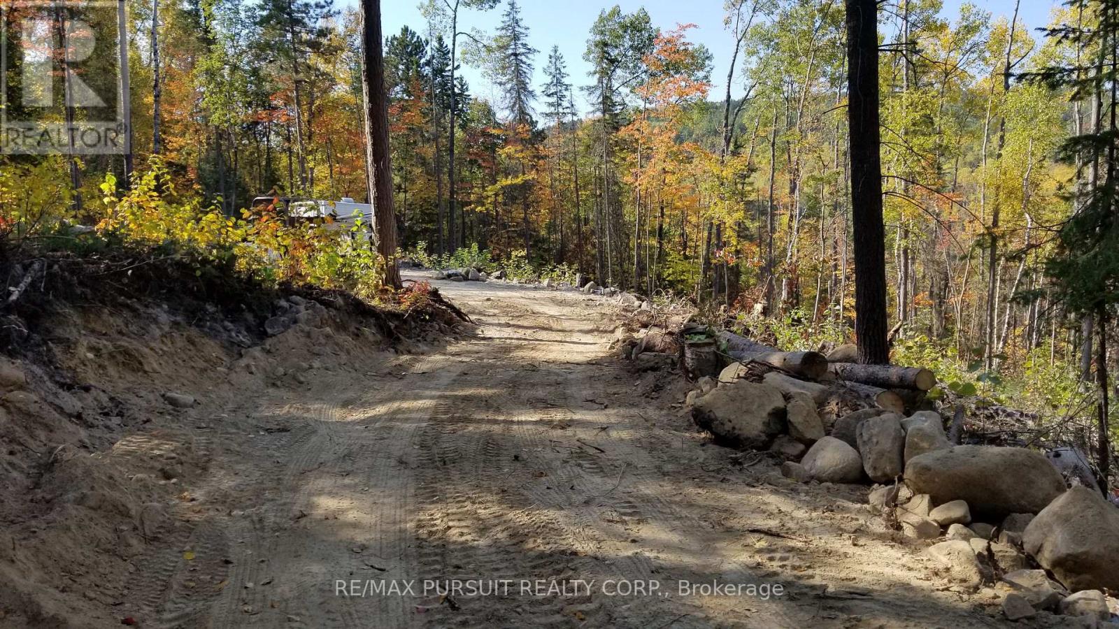 54-C-247082 Part Of Pin 61390-0273, Timiskaming, Ontario  P0J 1R0 - Photo 5 - T12936568