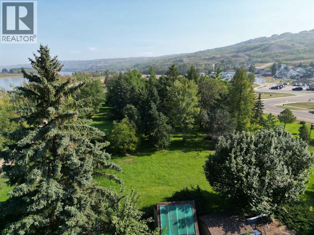 9602 71 Avenue, Peace River, Alberta  T8S 1E3 - Photo 34 - A2273646