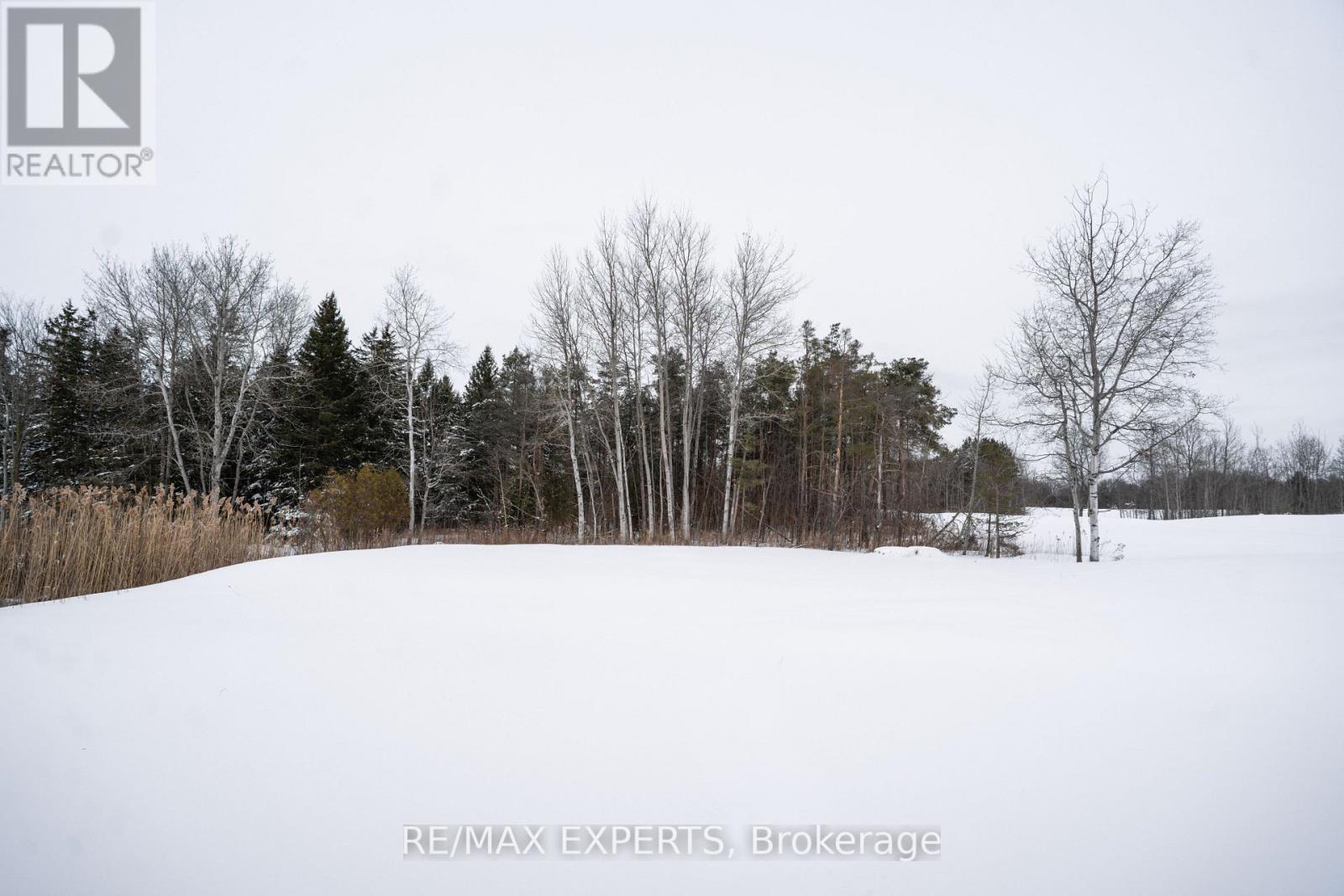 130 Dale Crescent, Bradford West Gwillimbury, Ontario  L0L 1L0 - Photo 49 - N12867548