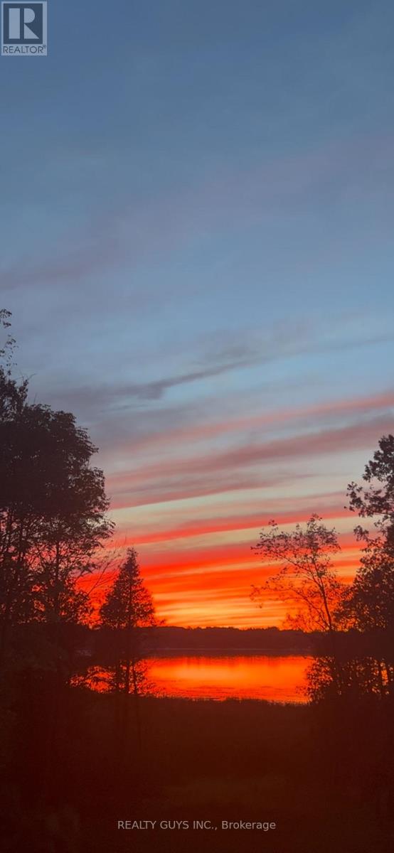 2 Ivy Street, Kawartha Lakes, Ontario  K0L 2W0 - Photo 41 - X12937110