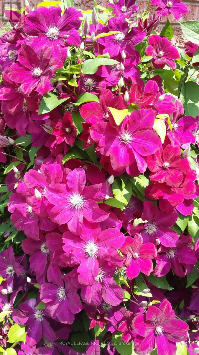 4393 Tamarac Avenue, Lincoln, Ontario  L0R 1B8 - Photo 50 - X12937114