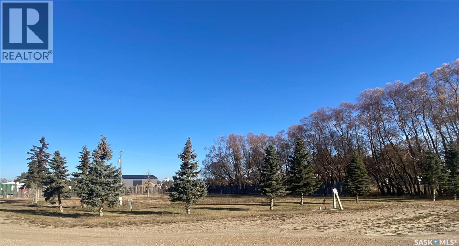 100 10 Highway, Balcarres, Saskatchewan  S0G 0C0 - Photo 19 - SK031647