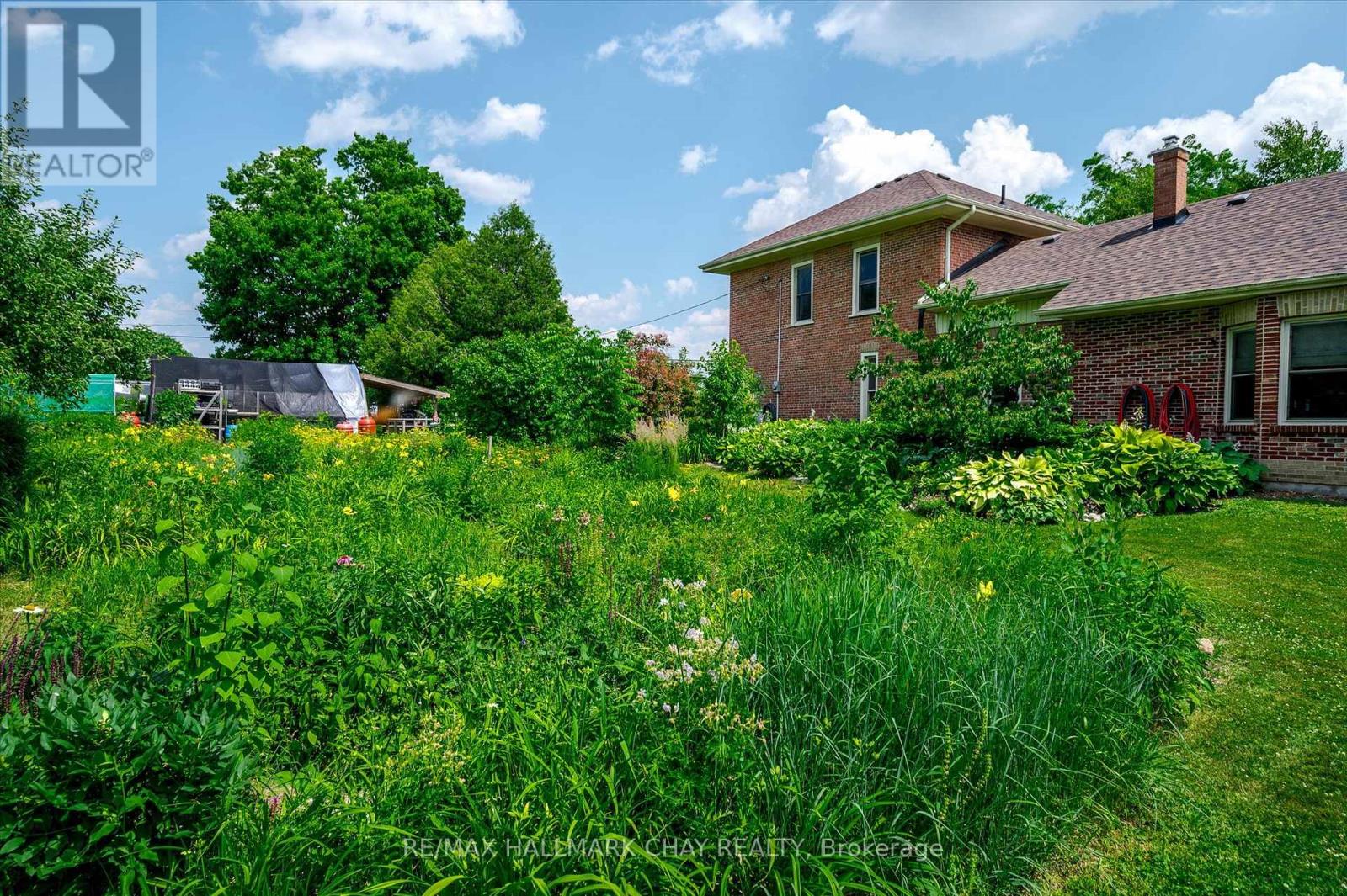 136 County 4 Road, Douro-Dummer, Ontario  K9L 1V6 - Photo 35 - X12937076