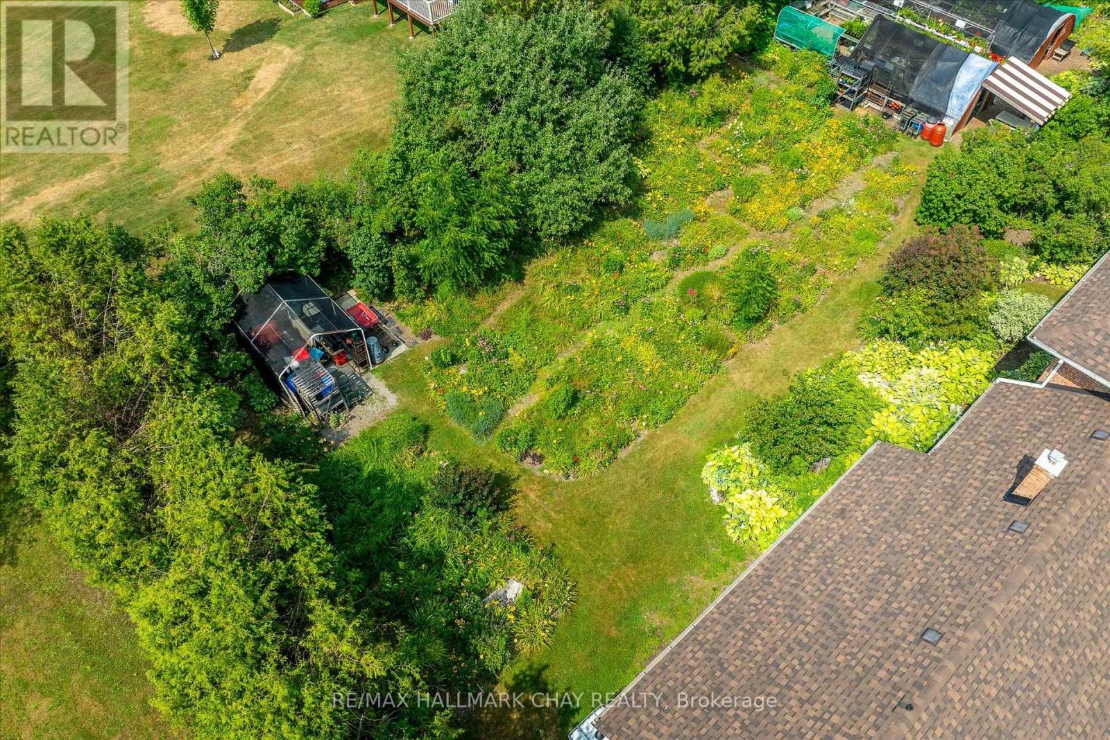 136 County 4 Road, Douro-Dummer, Ontario  K9L 1V6 - Photo 40 - X12937076