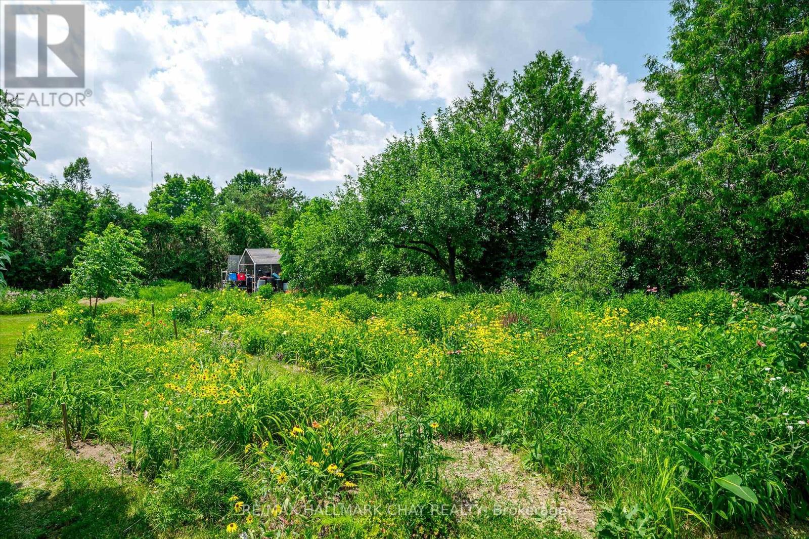 136 County 4 Road, Douro-Dummer, Ontario  K9L 1V6 - Photo 12 - X12937090