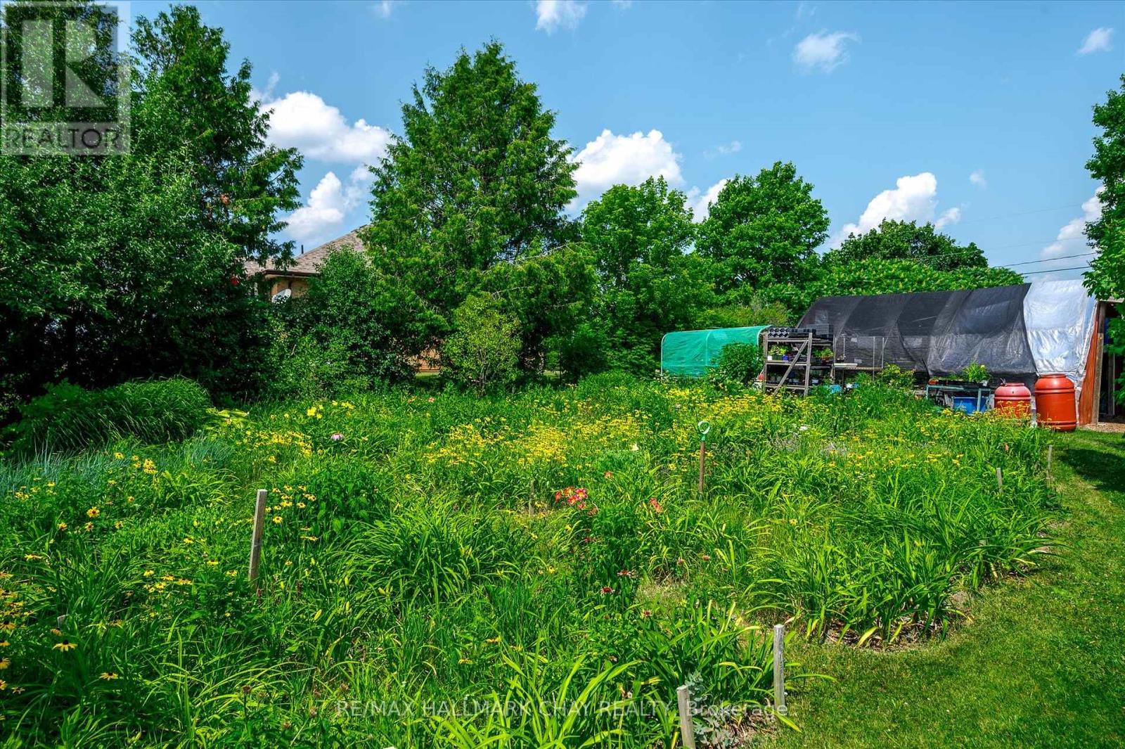 136 County 4 Road, Douro-Dummer, Ontario  K9L 1V6 - Photo 13 - X12937090