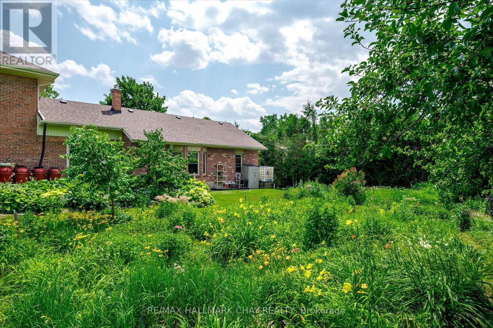 136 County 4 Road, Douro-Dummer, Ontario  K9L 1V6 - Photo 16 - X12937090