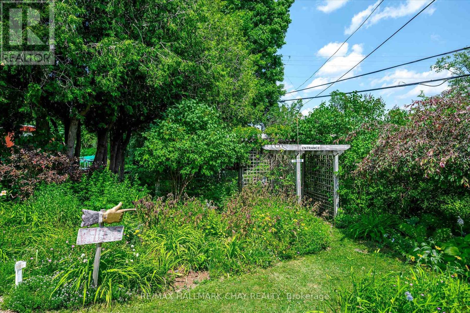 136 County 4 Road, Douro-Dummer, Ontario  K9L 1V6 - Photo 3 - X12937090