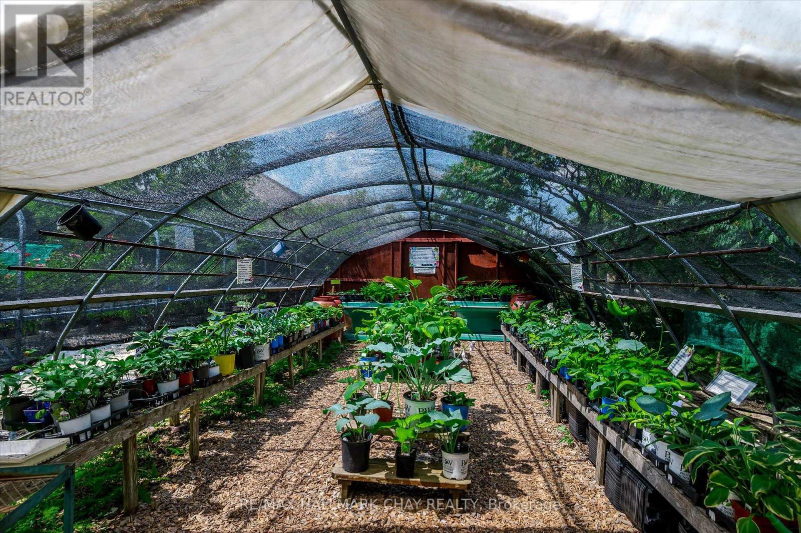 136 County 4 Road, Douro-Dummer, Ontario  K9L 1V6 - Photo 6 - X12937090