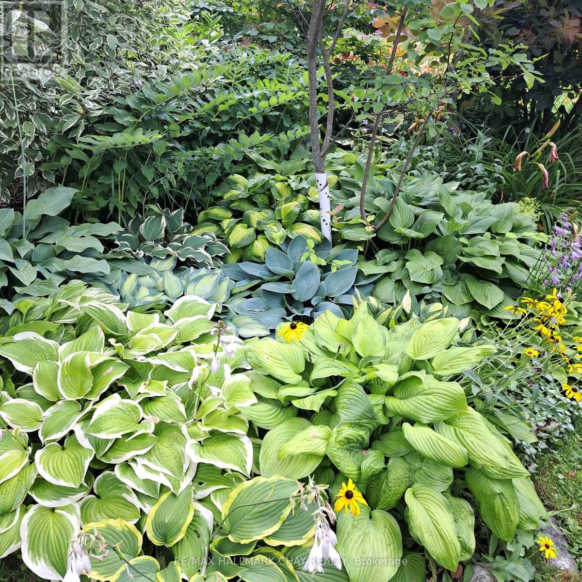 136 County 4 Road, Douro-Dummer, Ontario  K9L 1V6 - Photo 9 - X12937090