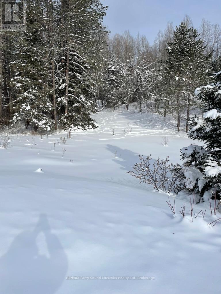 141 Hwy 520 Highway, Armour, Ontario  P0A 1C0 - Photo 23 - X12936874