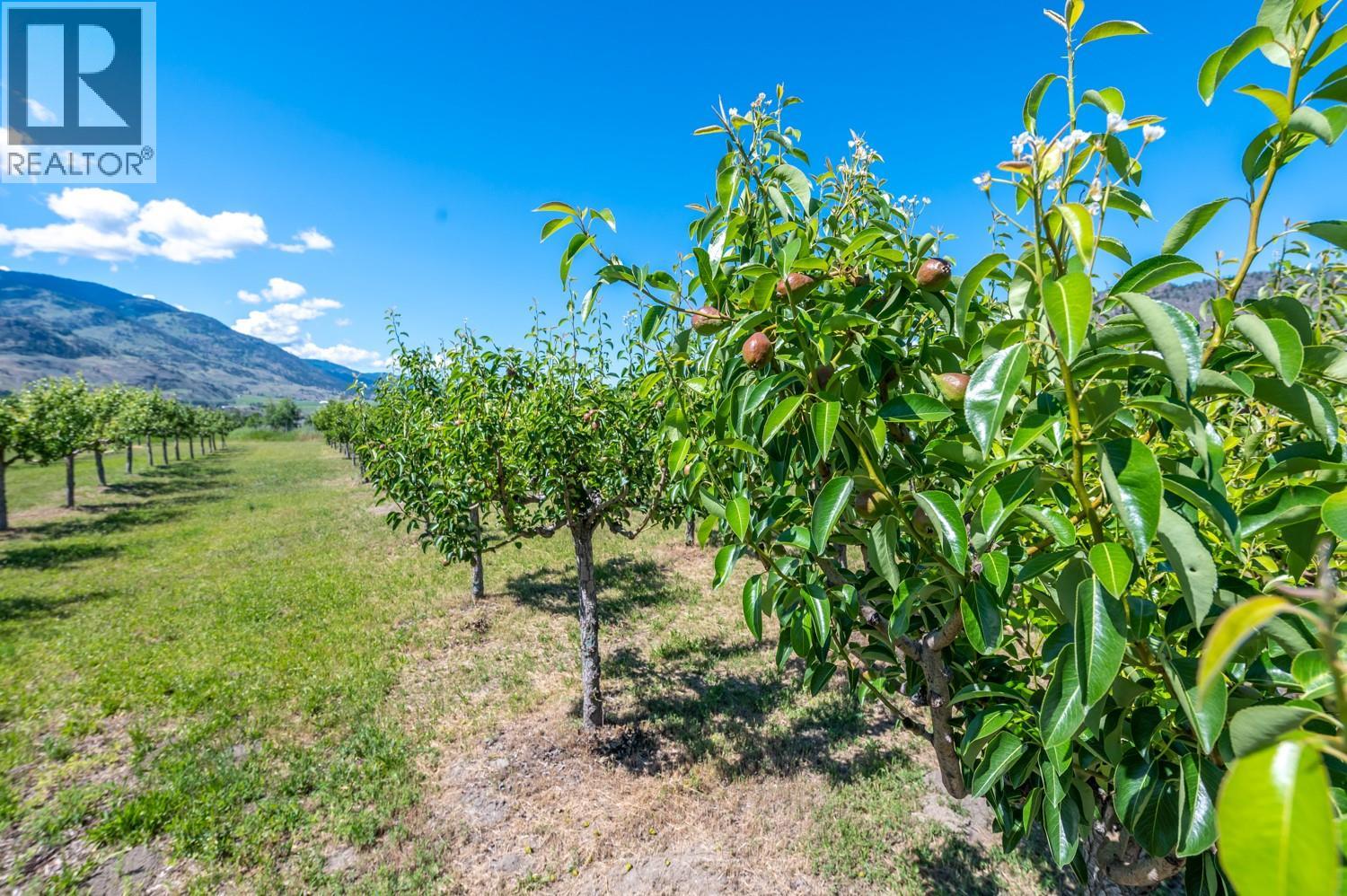 294 Road 18 Road, Oliver, British Columbia V0H 1T1 - Photo 35 - 10367463