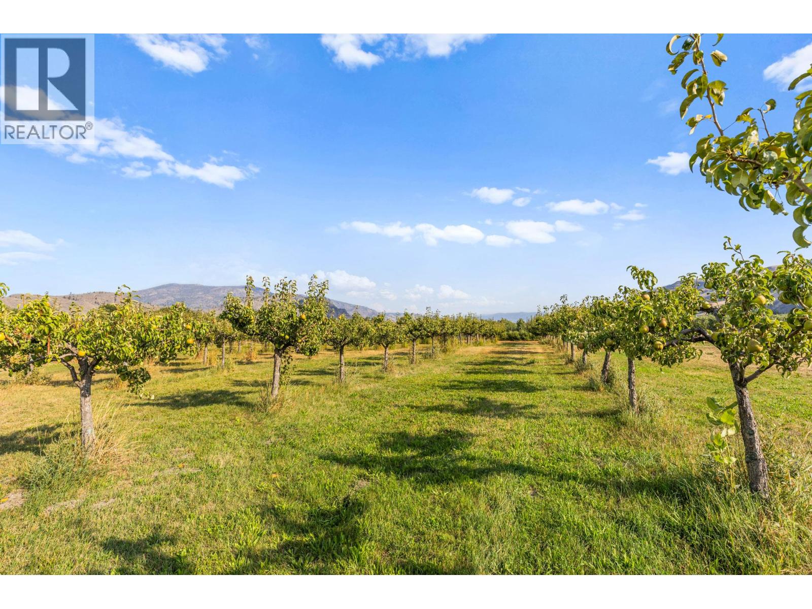 294 Road 18 Road, Oliver, British Columbia V0H 1T1 - Photo 68 - 10367463