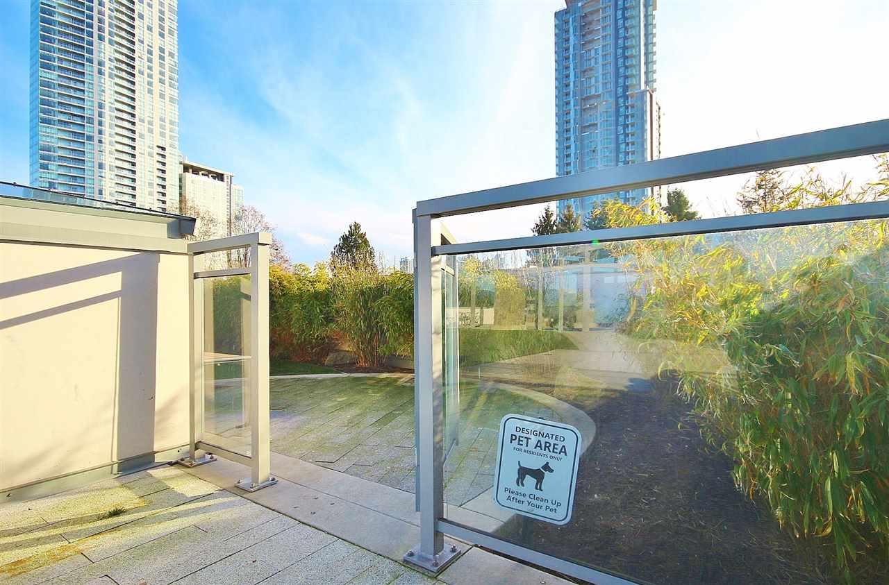 1110 13398 104 Avenue, Surrey, British Columbia V3T 1V6 - Photo 15 - R3105062