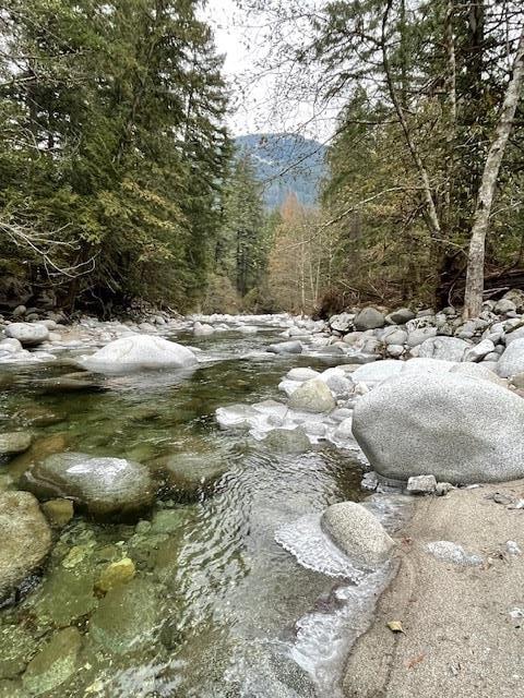 B9 65443 Emory Creek Road, Yale 