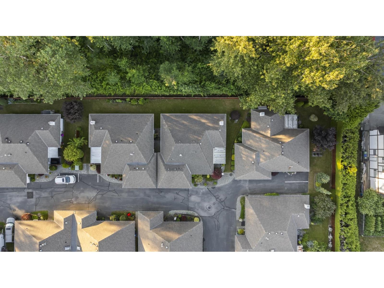 115 10172 141 Street, Surrey, British Columbia V3T 4P6 - Photo 39 - R3104959