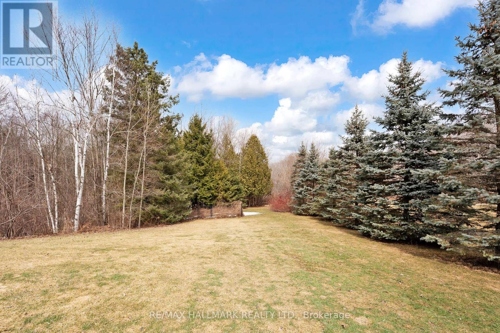 206 Churchill Avenue, King, Ontario L7B 0G9 - Photo 46 - N12937406