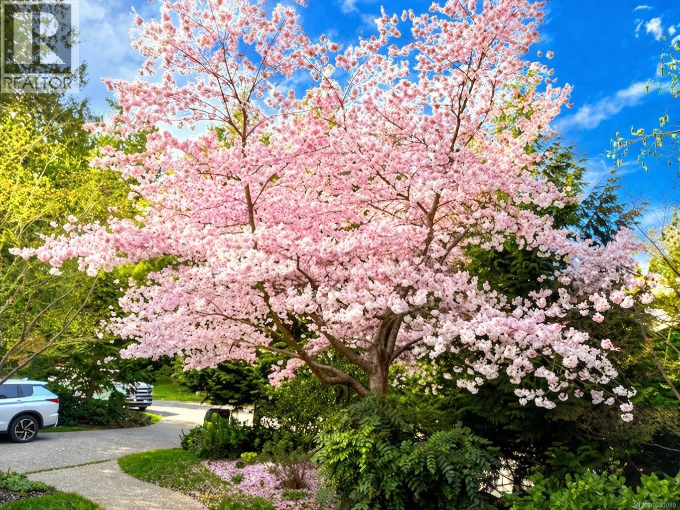 3977 Lexington Ave, Saanich, British Columbia  V8N 3Z5 - Photo 36 - 1030089