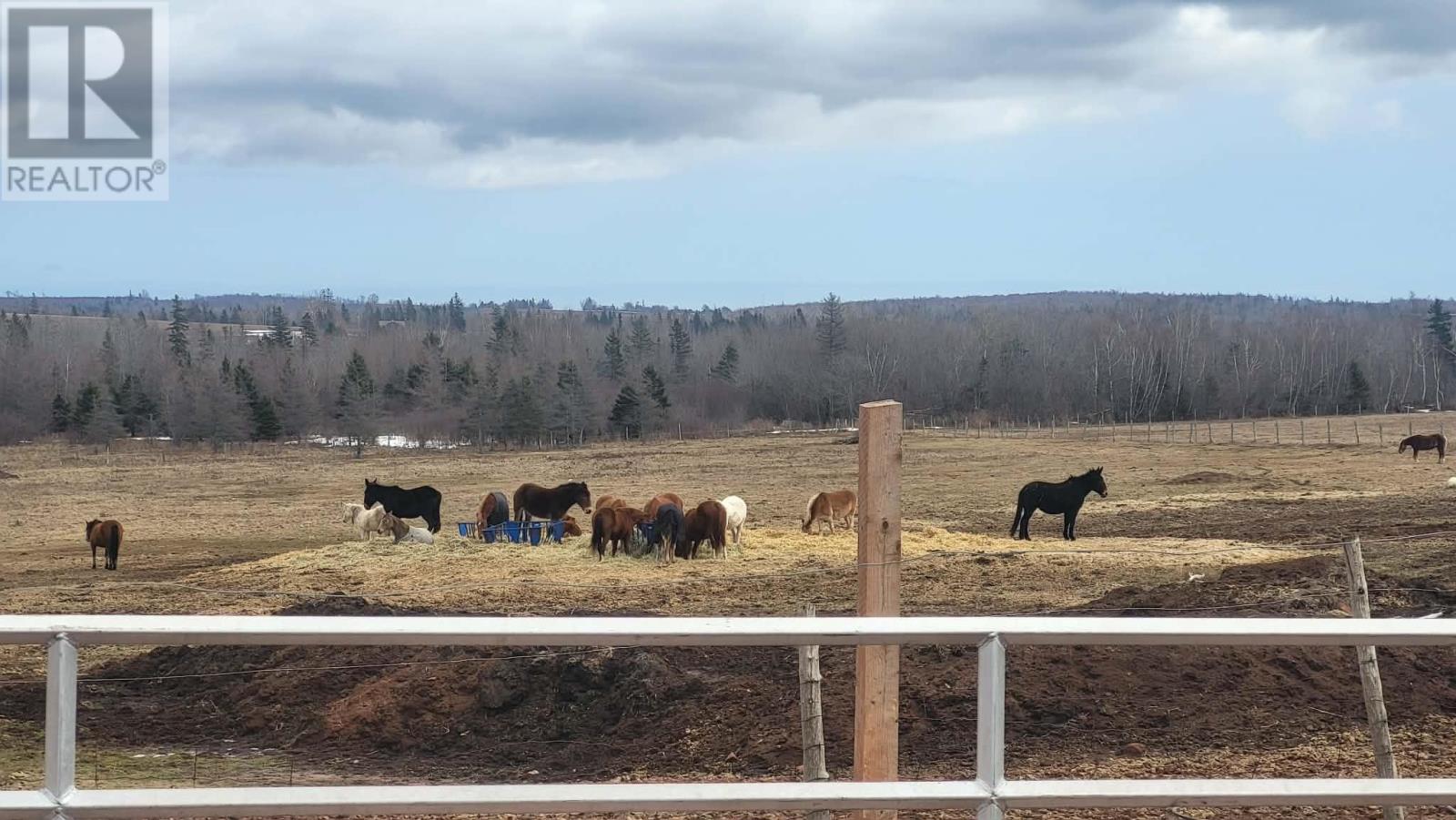 284 Upton Road, Forest Hill, Prince Edward Island  C0A 2A0 - Photo 25 - 202605251