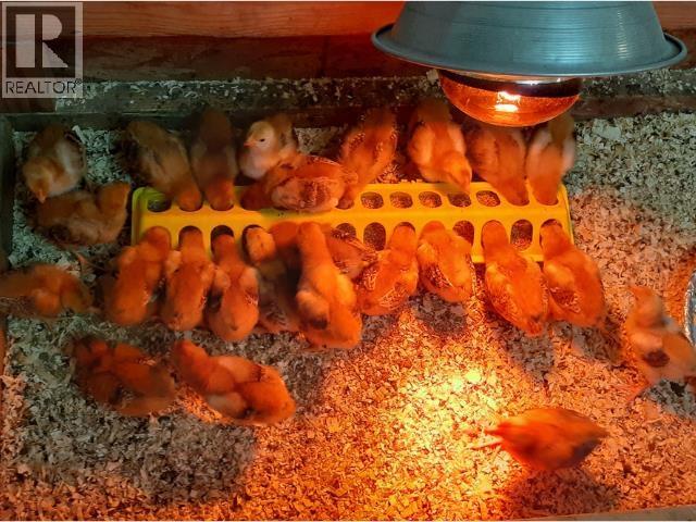 17053 Prespatou Road, Fort St. John, British Columbia  V0C 2S0 - Photo 28 - R3105054