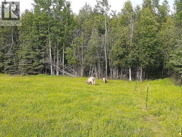 17053 Prespatou Road, Fort St. John, British Columbia  V0C 2S0 - Photo 29 - R3105054