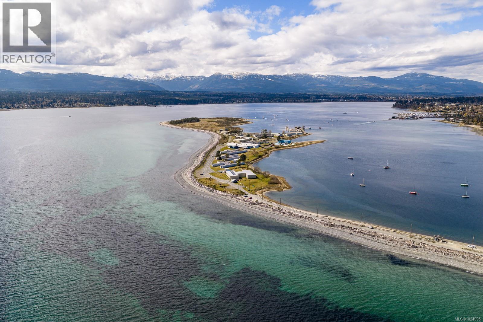 98 Beech St, Comox, British Columbia  V9M 3W7 - Photo 16 - 1024995