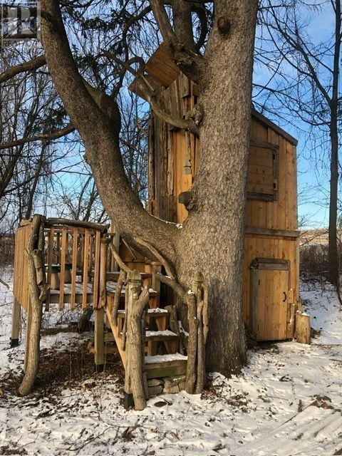 2460 Sixth Concession Road, Pickering, Ontario  L0H 1H0 - Photo 30 - E12937562