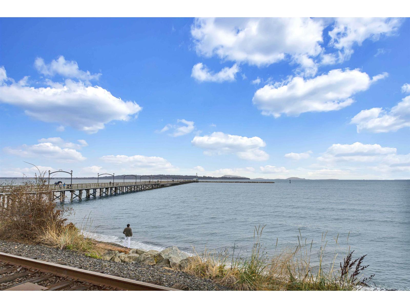 15871 28 Avenue, Surrey, British Columbia V3Z 0E5 - Photo 36 - R3097394