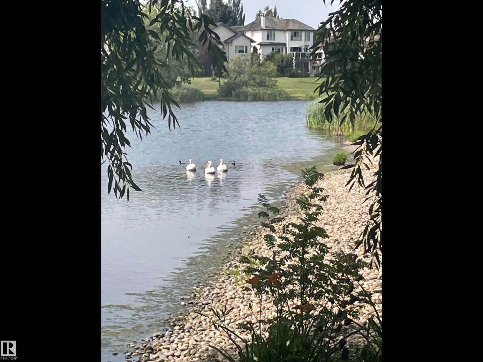 116 Twin Brooks Cove Nw, Edmonton, Alberta  T6J 6T1 - Photo 3 - E4479264