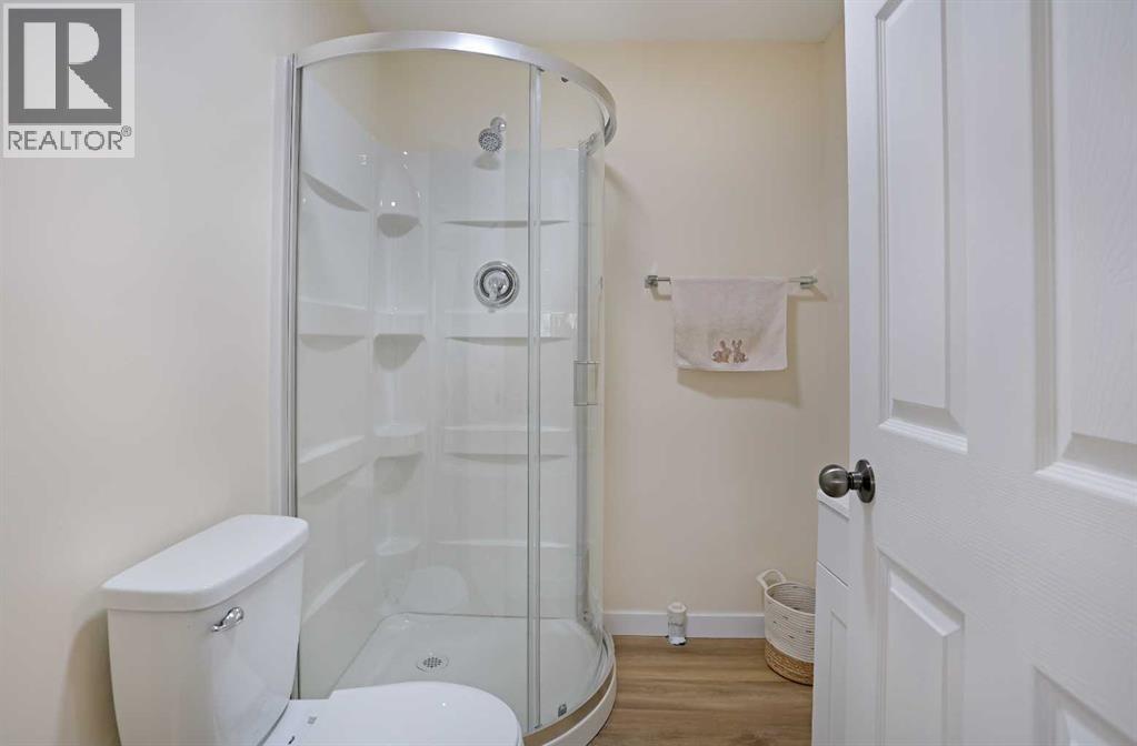 63 Ash Street W, Brooks, Alberta  T1R 0A6 - Photo 35 - A2295730